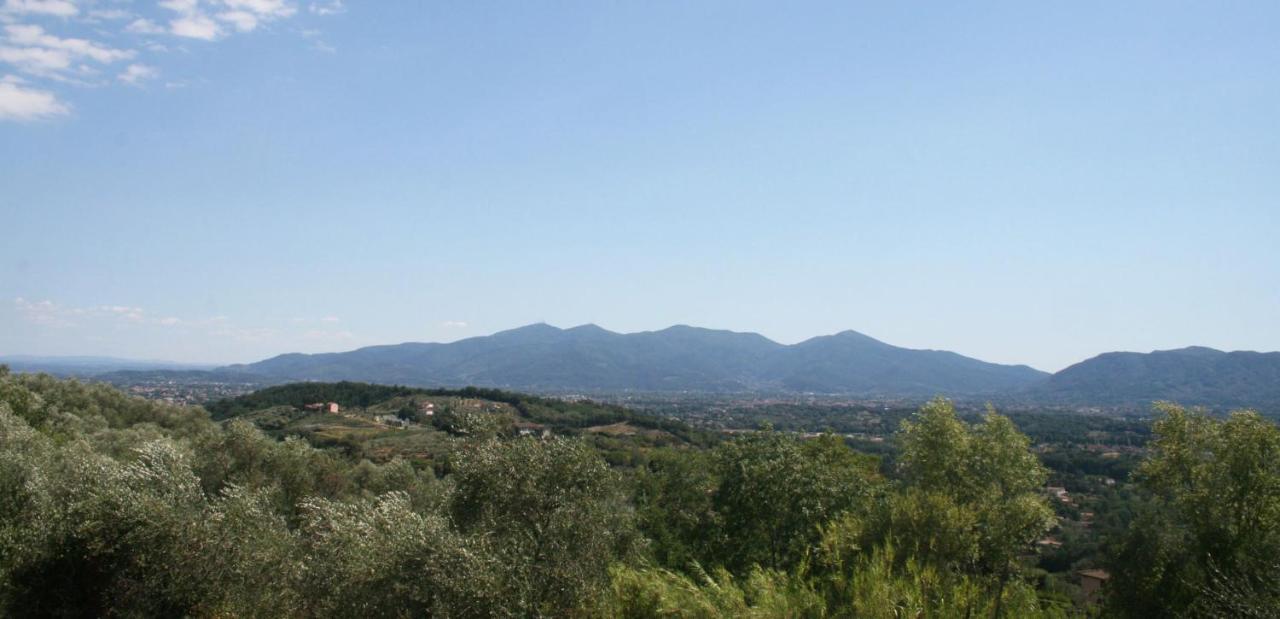 Poderi Lenzi Villa Lucca Bagian luar foto